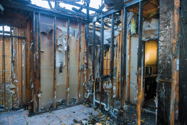 Professional Fire Damage Removal technician working in Earle, AR
